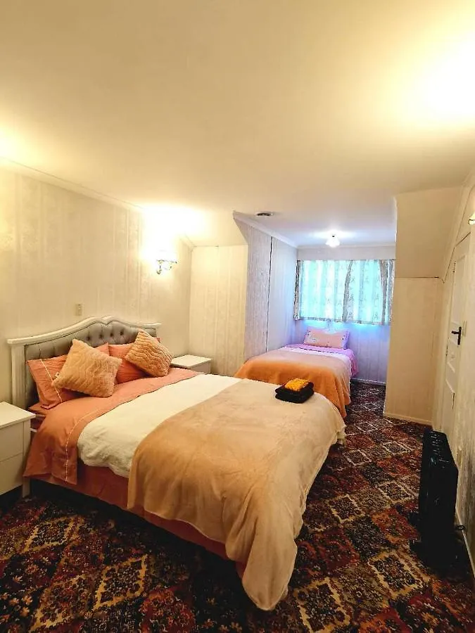 Amy'S Forest City Villa 罗托鲁阿 新西兰
